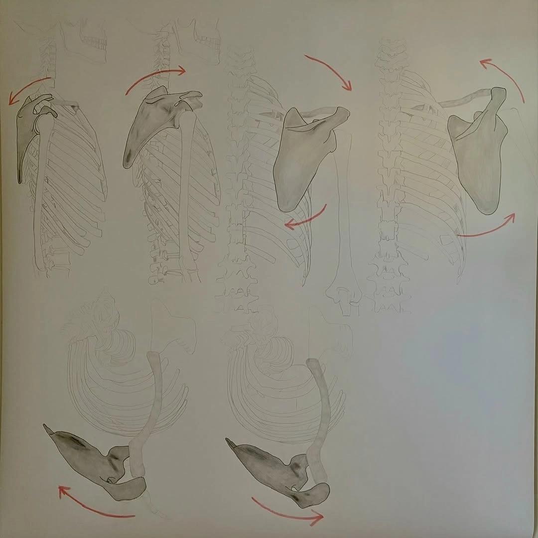Large-format drawings exhibition