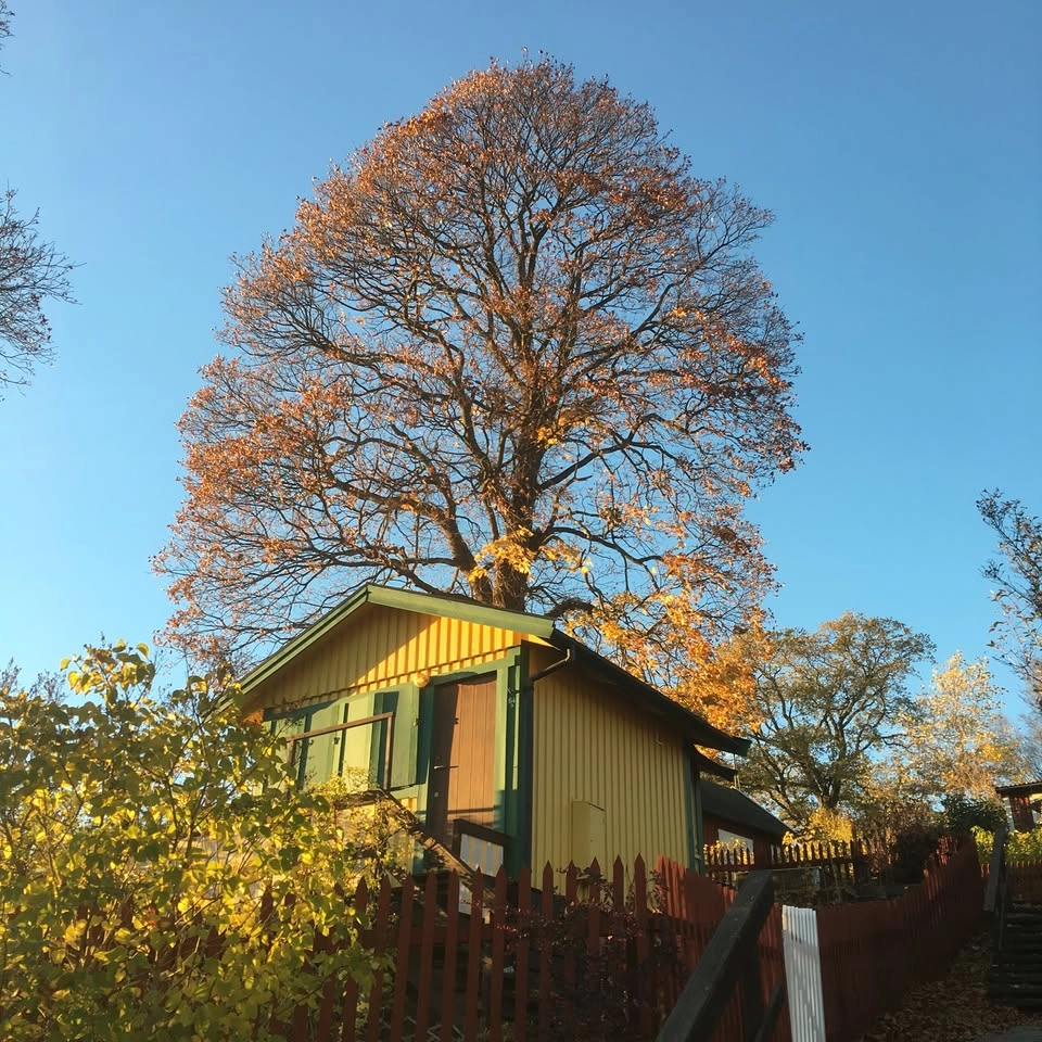 Tidig vårvandring i Tanto - fånga majmorgonen ...