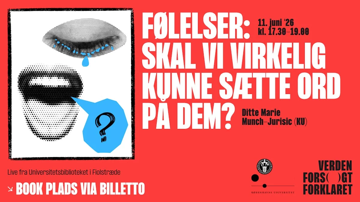 Følelser: Skal vi virkelig kunne sætte ord på dem?