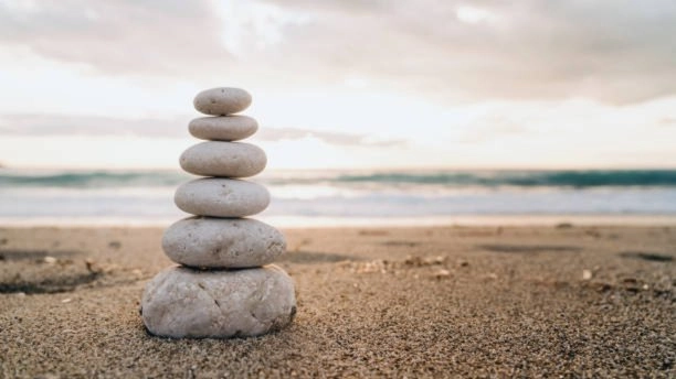 Mindfulness Open Day