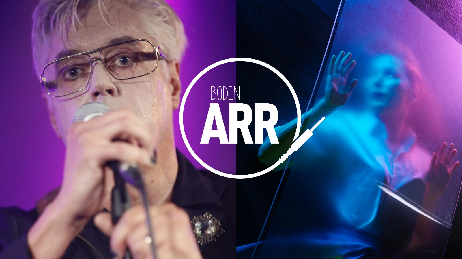 Svart Tulpan/Sofia Härdig