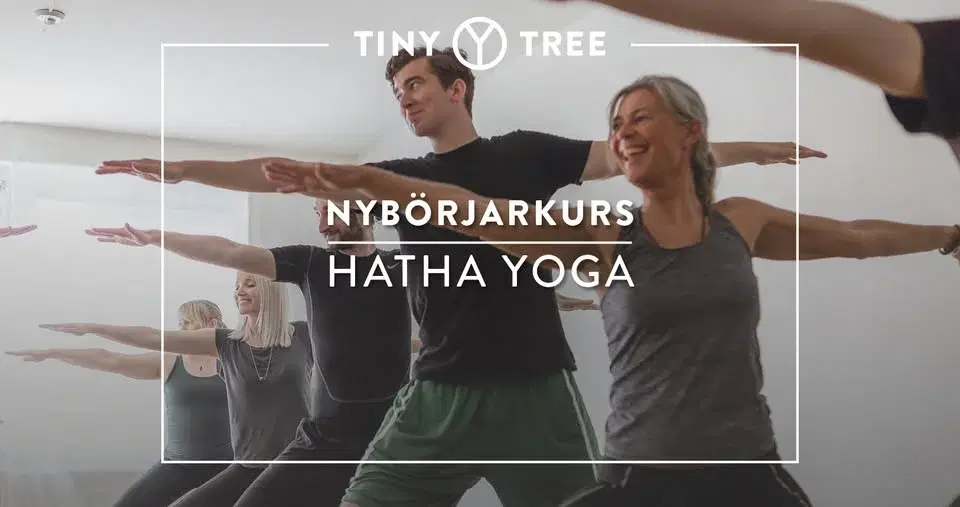 NYBÖRJARKURS YOGA