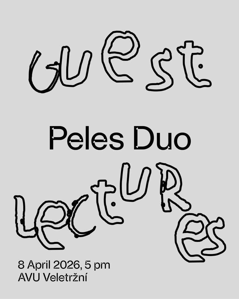 Guest Lectures: Peles Duo
