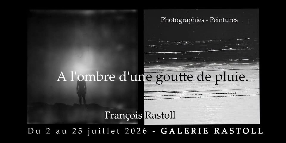 Vernissage A l'ombre d'une goutte de pluie par François Rastoll