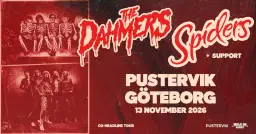 The Dahmers+Spiders • 13 nov • Pustervik