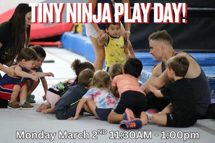 Tiny Ninja Play Day!