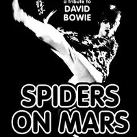 A Tribute To David Bowie by Spiders On Mars