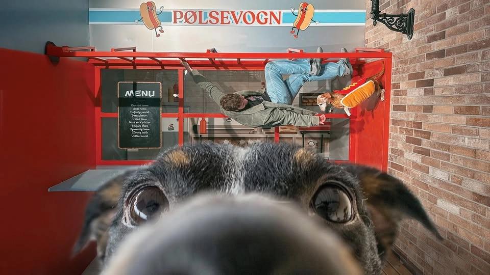 Dog-friendly days at Museum of Illusions