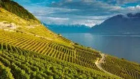 Apéro mensuel - Drinx Bar