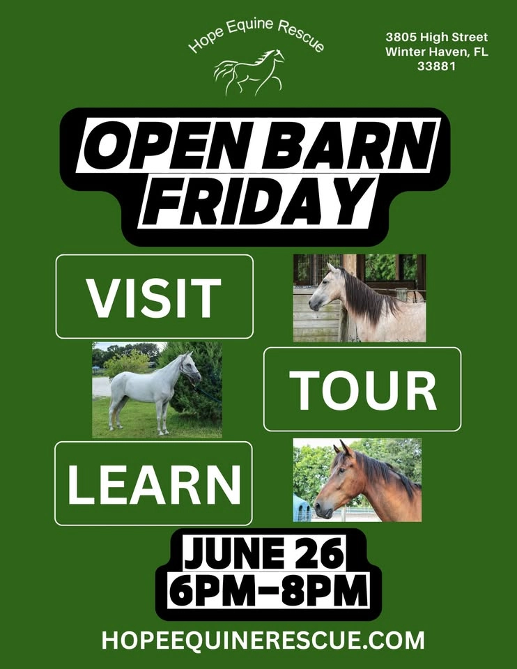 Open Barn Friday