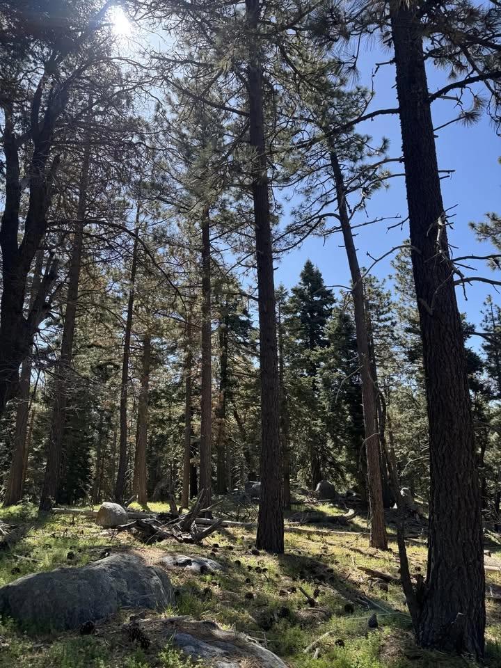 Bear Mountain Evening Hike - Tehachapi Randall Preserve