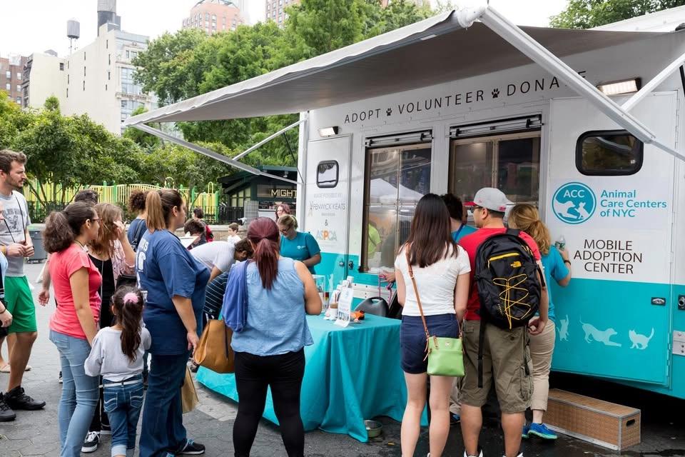 Pet Club Brooklyn | Brooklyn Adoption Event
