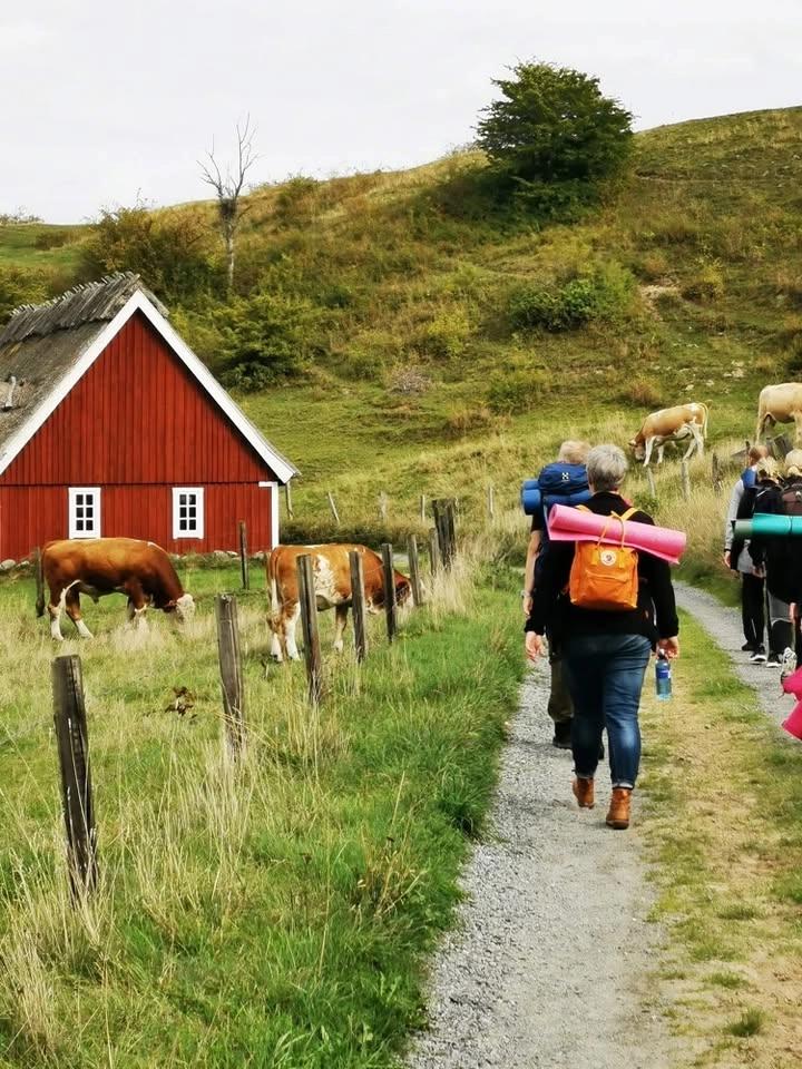 Yogavandring Haväng/Vitemölla - tema hjärtats kvaliteter