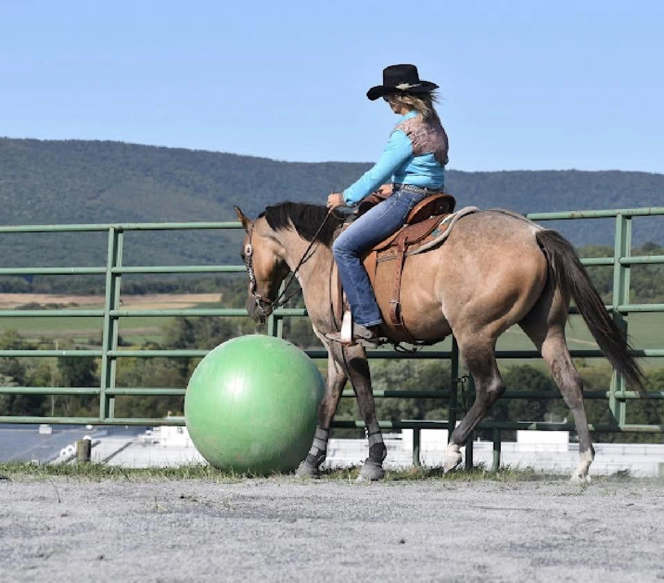 Ranch Obstacle Event