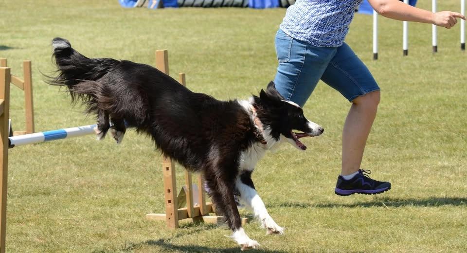 Agility - steg 3