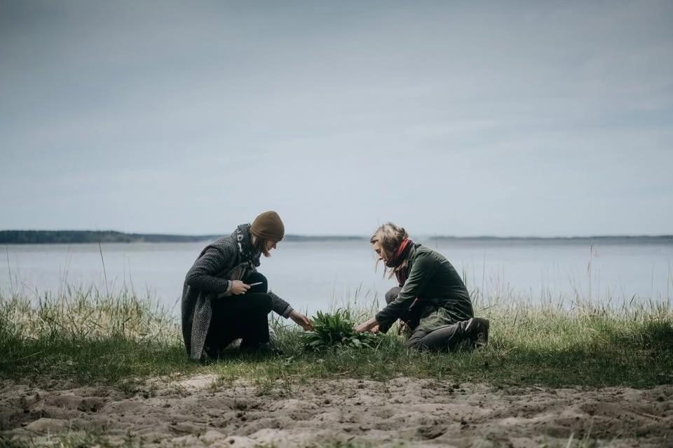 THE FORAGER’S WALK WITH WILD PICNIC