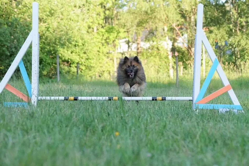 Agility - steg 1