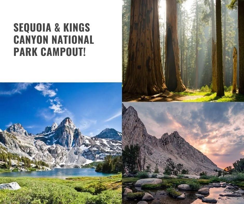 Sequoia & Kings Canyon: Where Giants & Waterfalls Meet