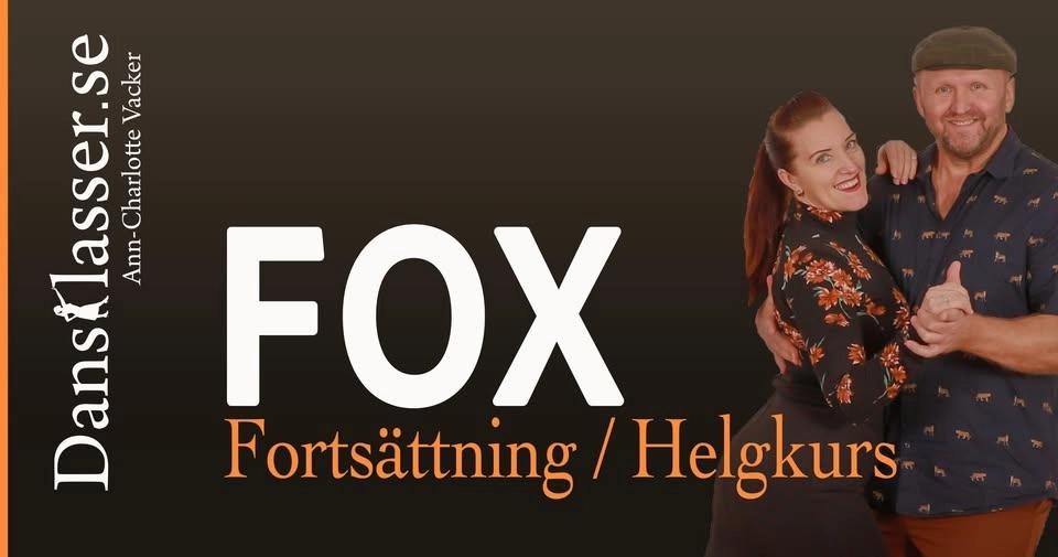 SVENSK FOX FORTSÄTTNING HELGKURS |STOCKHOLM CITY
