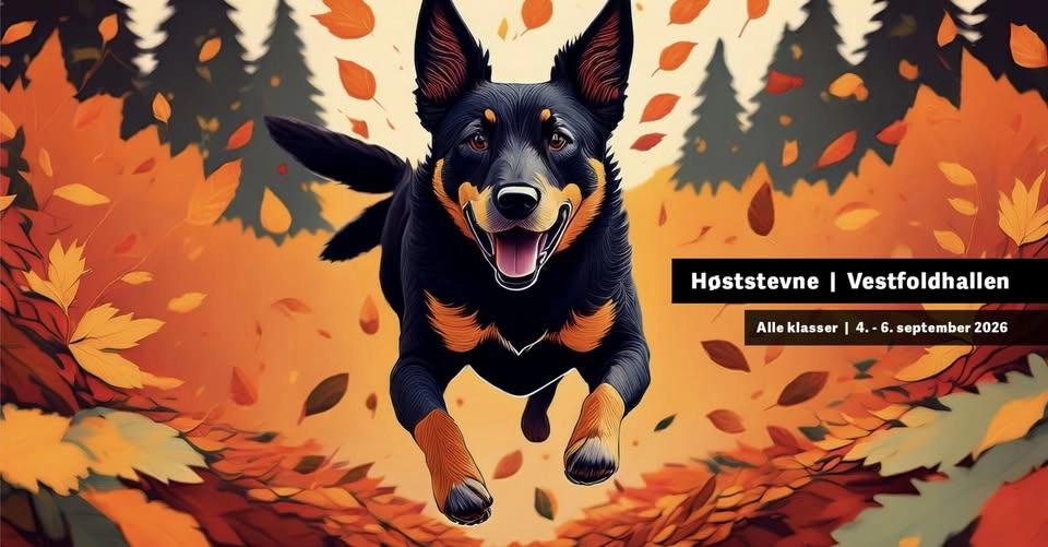Høststevne Tønsberg