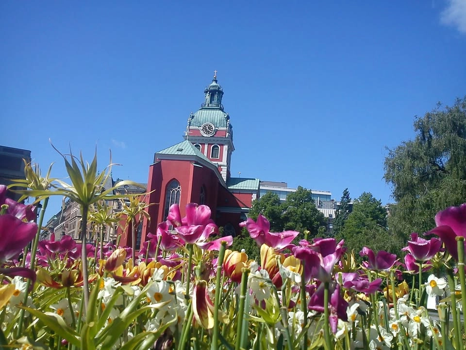 Kungsträdgårdens historia