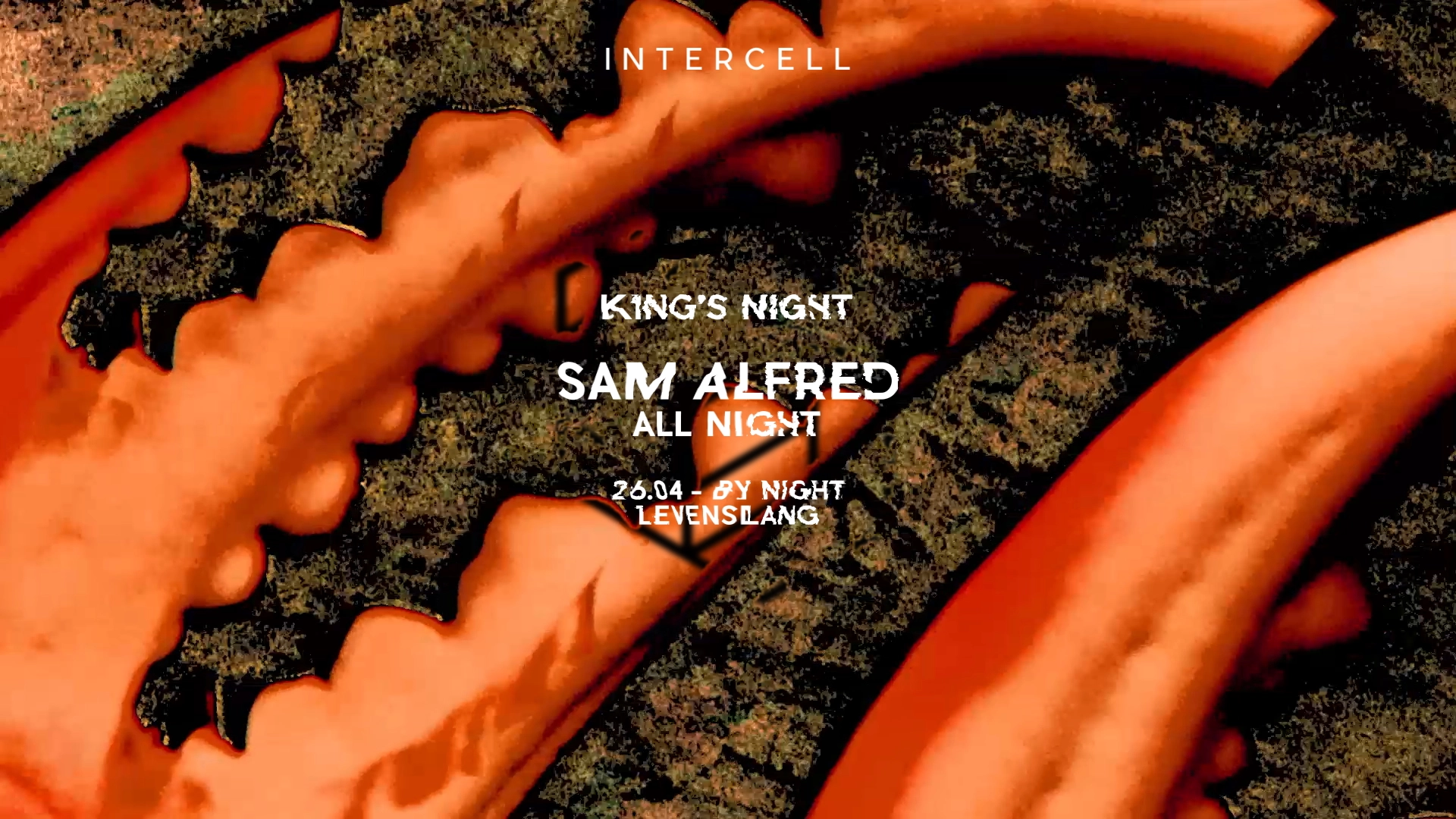 Intercell x Sam Alfred All Night - King's Night