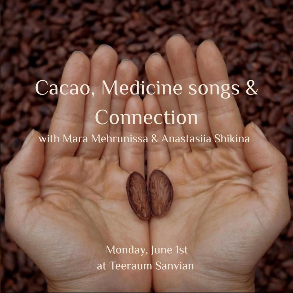 Cacao, Medicine songs & Connection