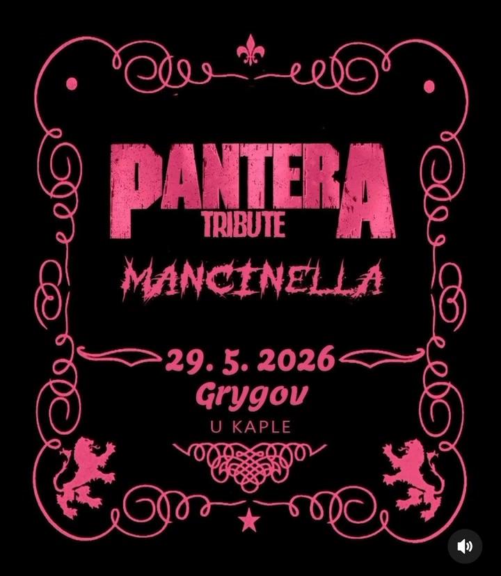 PANTERA tribute / Mancinella