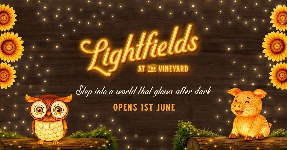 Lightfields | Glows After Dark | The Vineyard Sydney