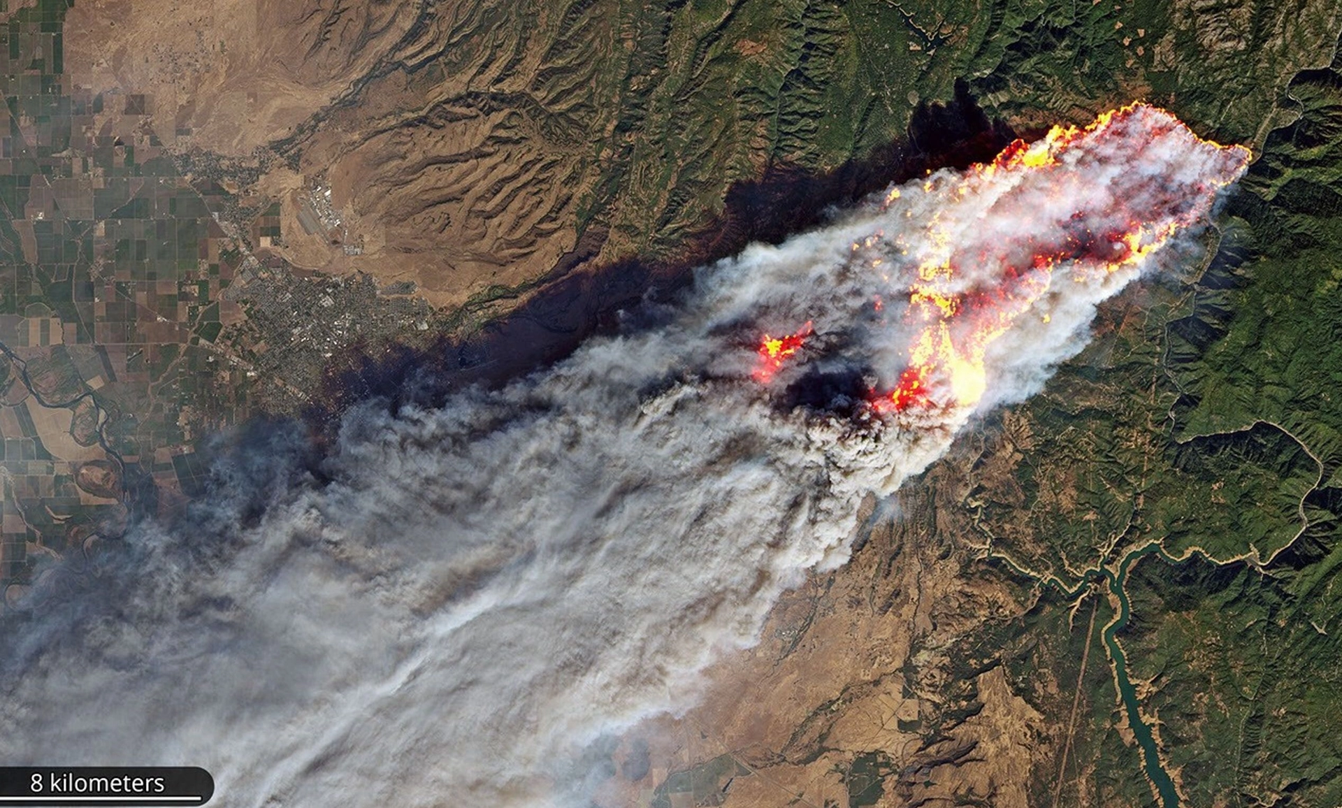 AI for Climate Adaptation and Disaster Response: Public Sector Pathways to Impact