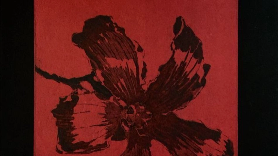 Guided Artistic Program – Anger