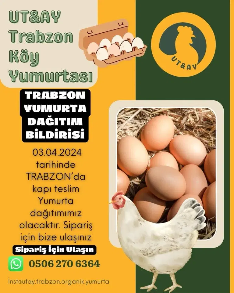 UT&AY Yumurta Trabzon İl Merkezi ve İlçelere Kapı Teslimi Yumurta Dağıtımı