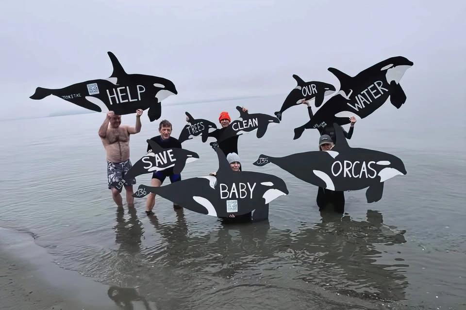 Orca Beach Cleanup / Plunge & Silent Disco