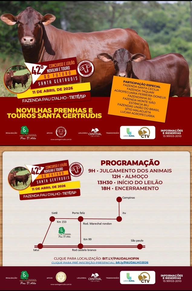 Leilão Touro e Novilha do Futuro 2026 – Raça Santa Gertrudis