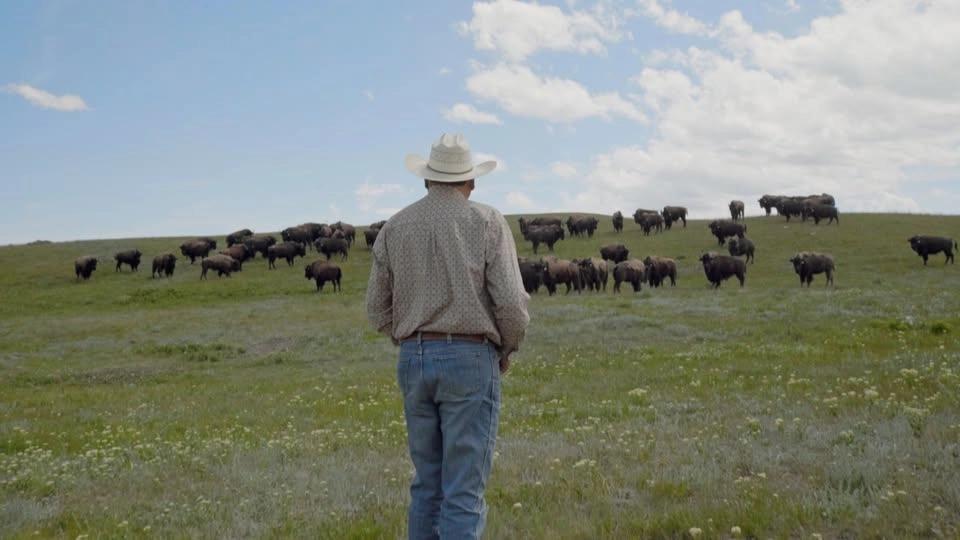 Natural History on the Big Screen: Bring Them Home Screening and Q&A