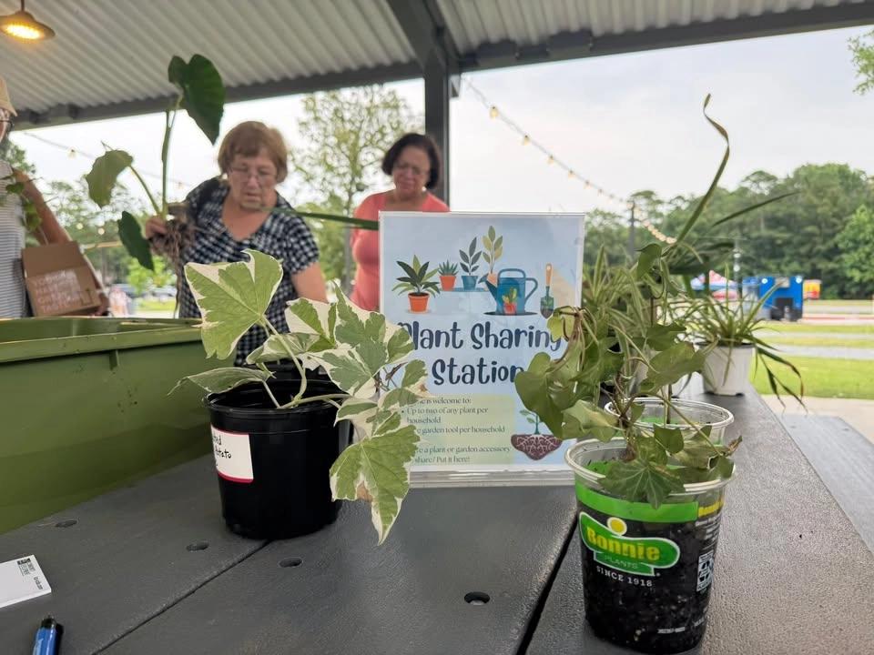 July Green Market at Millwood Station