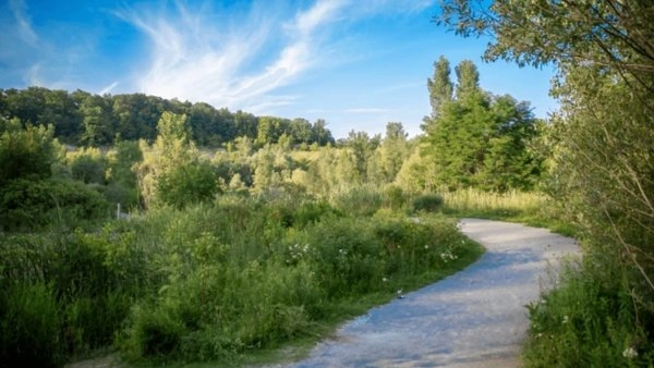 Sunday Nature and Neighbourhood Walk! (Dinner and Music Listening Party after)