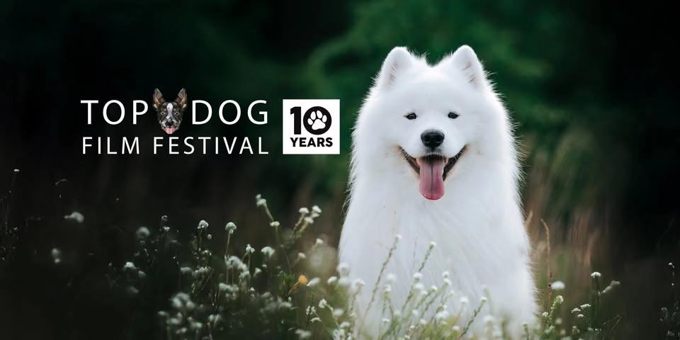 Top Dog Film Festival 2026 - Sydney Orpheum Sun 9 Aug 2pm