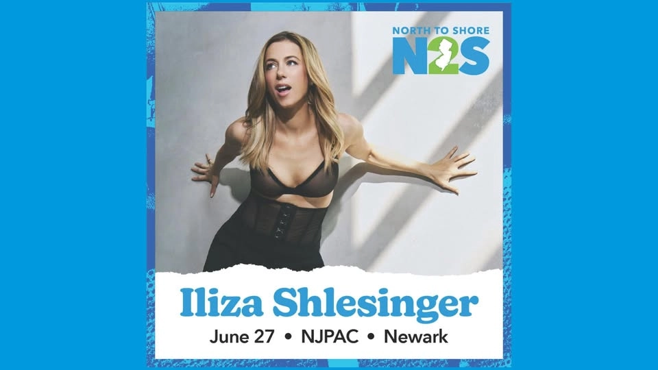 N2S: Iliza Shlesinger