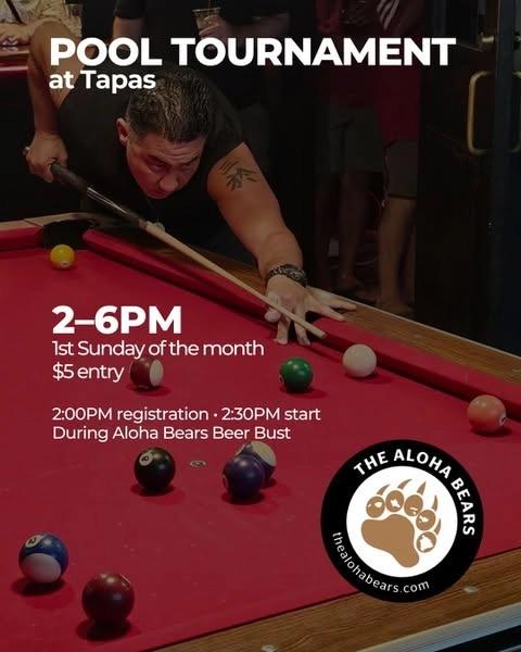 The Aloha Bears Monthly Pool Tournament and Beer/Liquor Bust