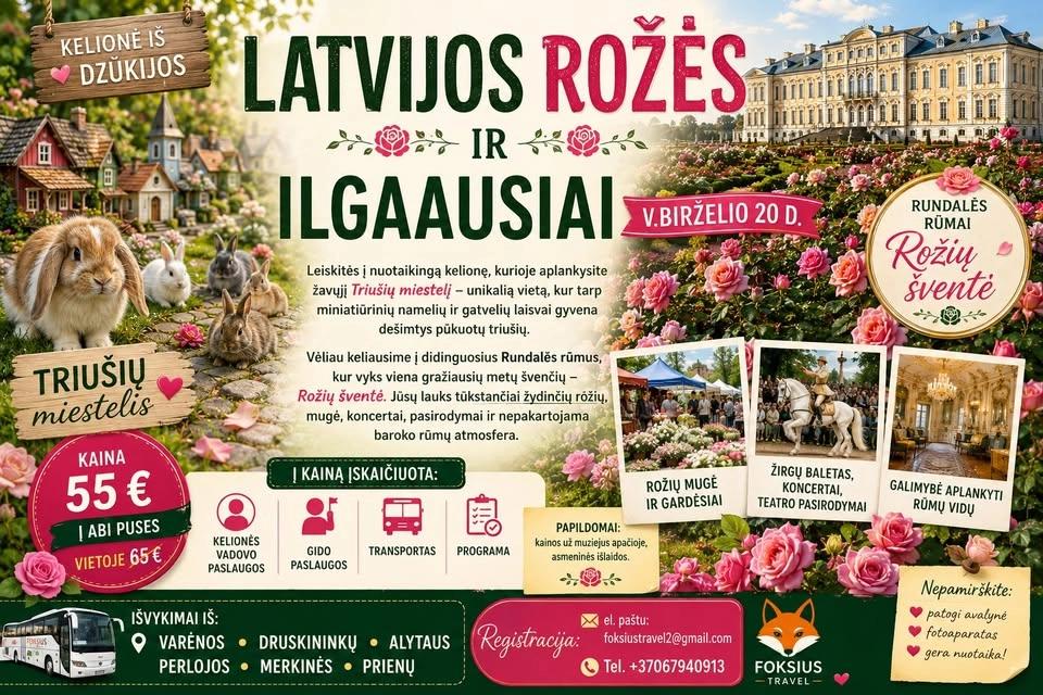 Latvijos rožės ir ilgaausiai iš Dzūkijos