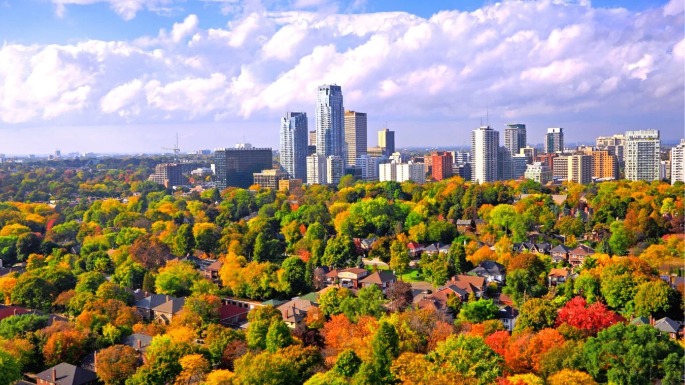 Saturday, Park, Trail and Neighbourhood Walk! (with Dinner and Pub Crawl after)