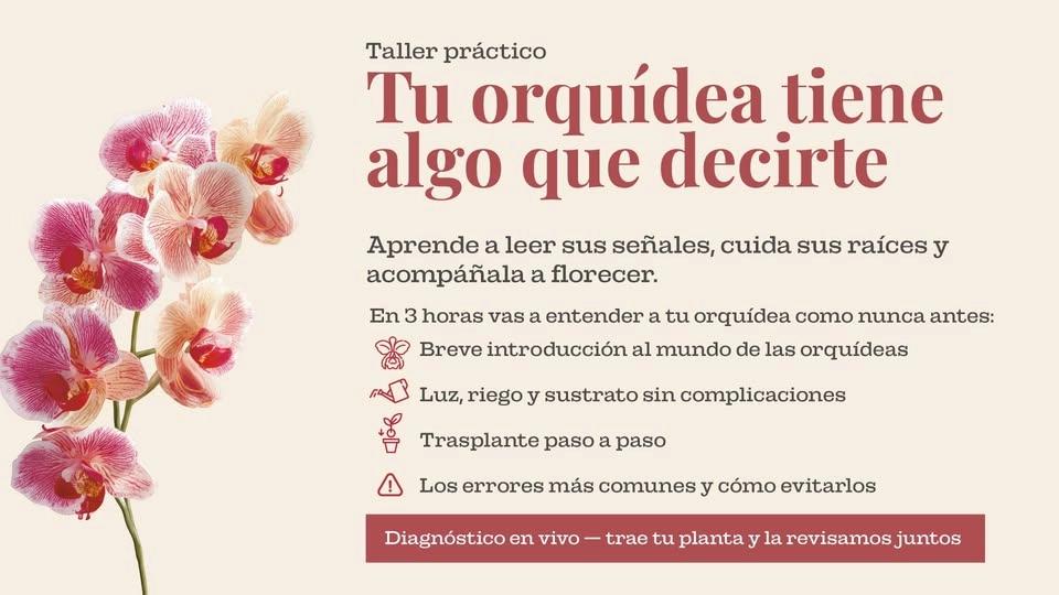 Taller de Orquídeas — Jardín Botánico de Quito