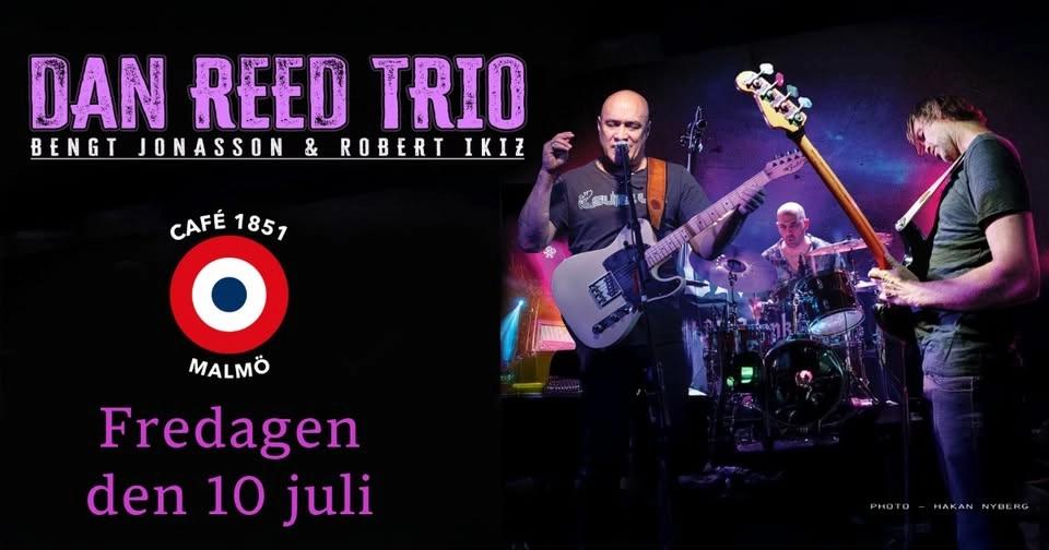 Dan Reed Trio