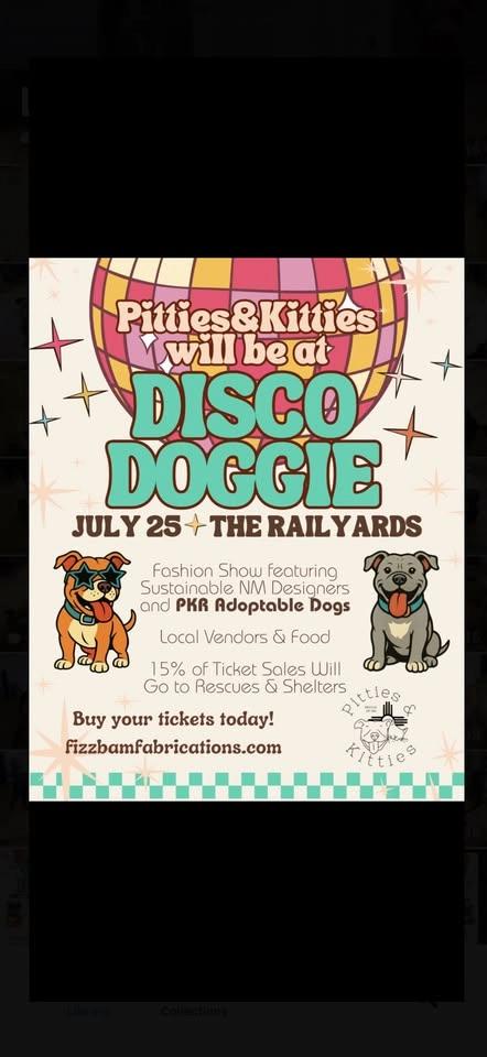 Disco Doggie Fashion Show! Fizzbam Fabrications
