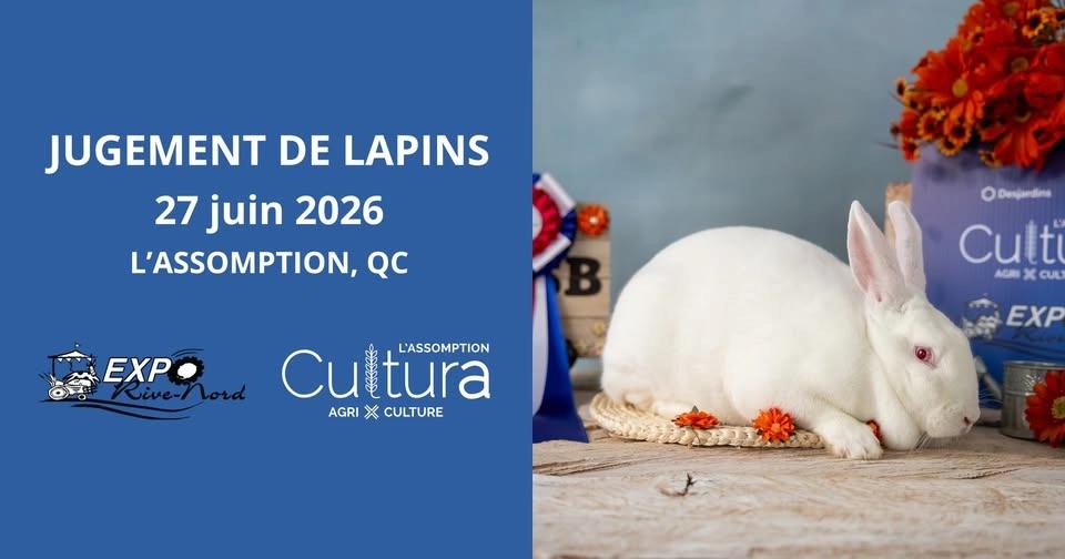 Expo Rive-Nord - ARBA rabbits show