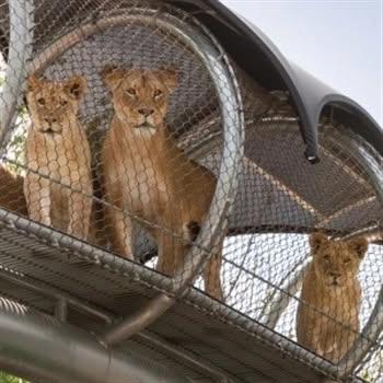 Animal Adventure Bus Trip