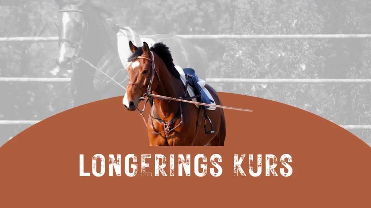 Longeringkurs