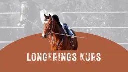 Longeringkurs