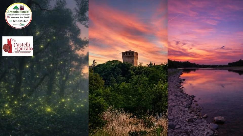 Lucciolata tra fiume e castello - Montechiarugolo